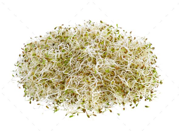 Alfalfa Sprouts 50gm