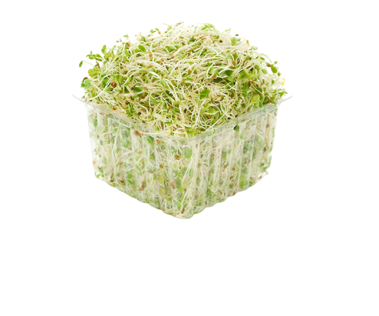 Alfalfa Sprouts 50gm