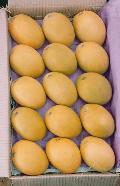 Pure Devgad Alphonso Mango Premium