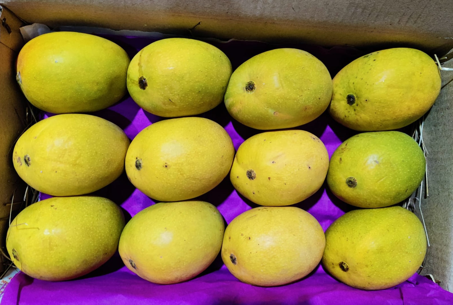 Pure Devgad Alphonso Mango Premium