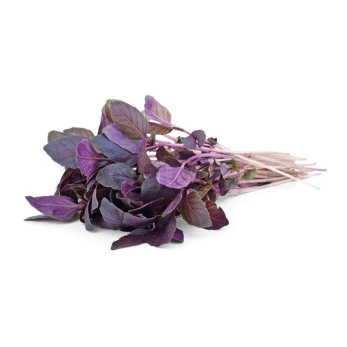 Herbs Red Basil Leaves 20gm
