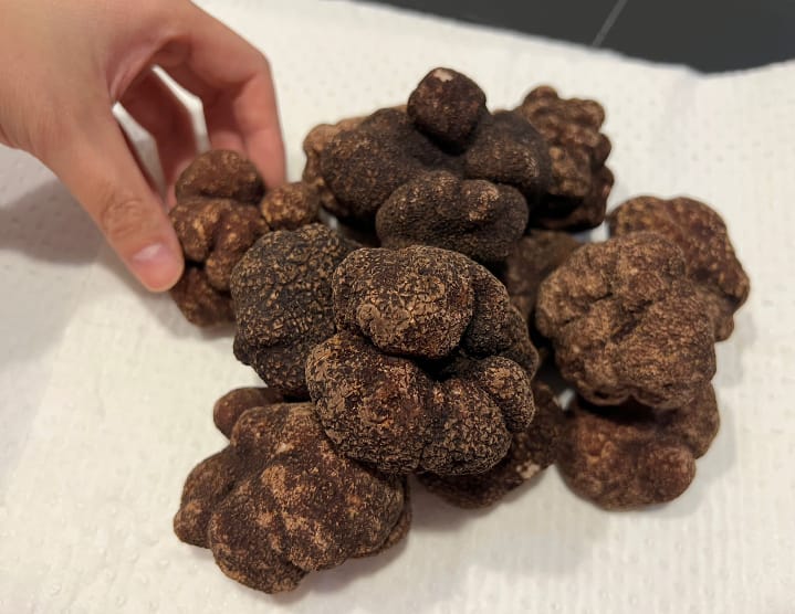 Black Truffles Fresh