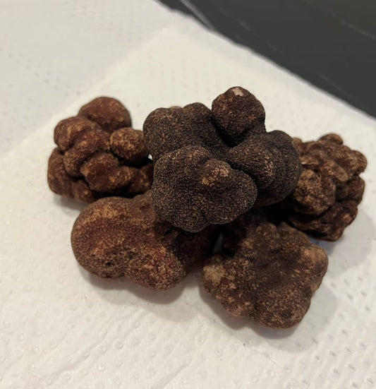 Black Truffles Fresh