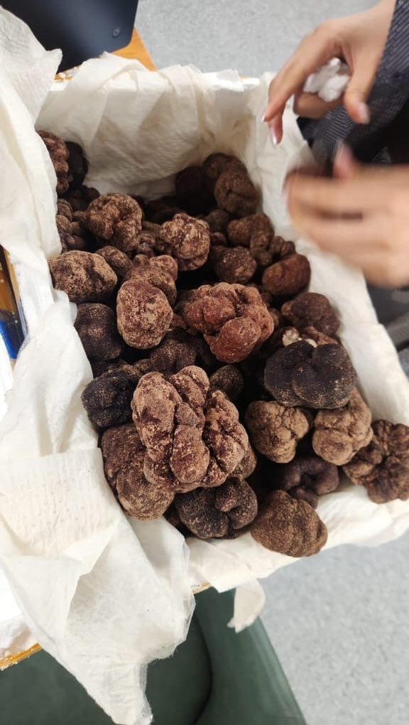 Black Truffles Fresh