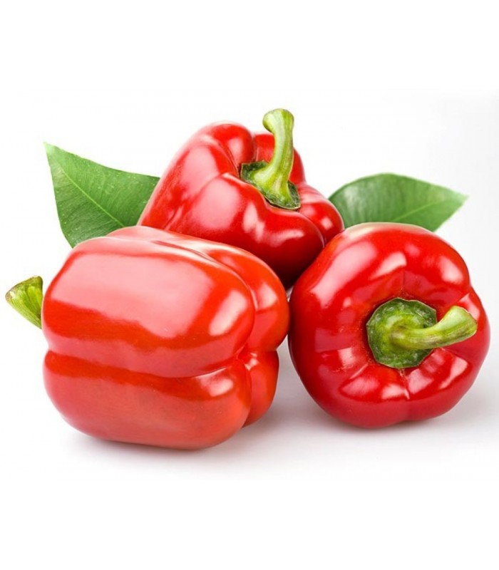 Pimiento rojo 250-300 g 1 paquete
