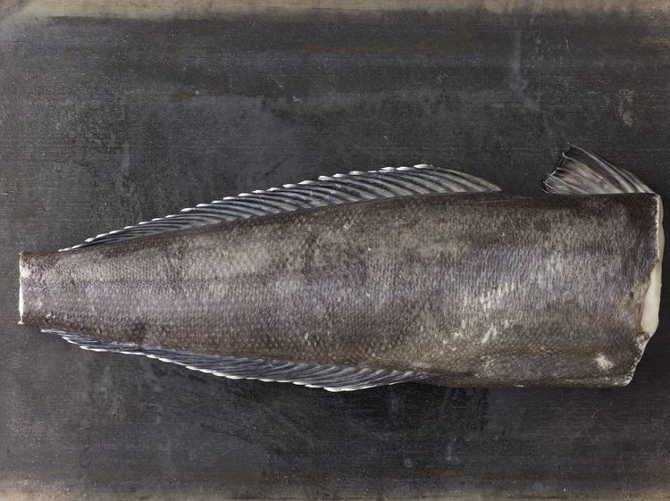 Black Cod Alaskan Frozen