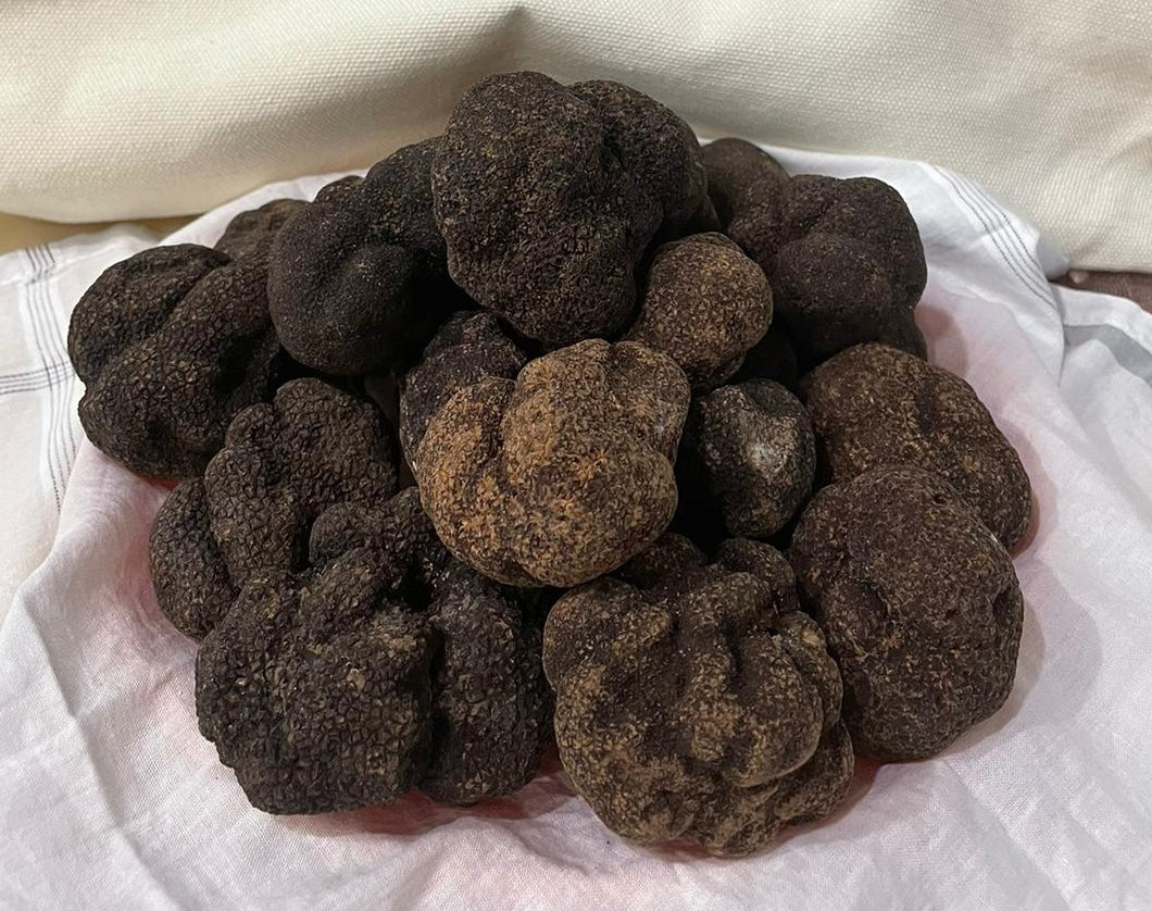 Black Truffles Fresh