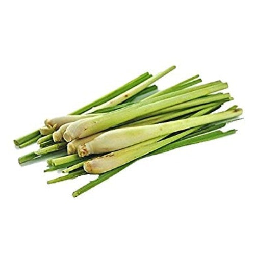 Lemongrass Stalk (Thailand) 100gm
