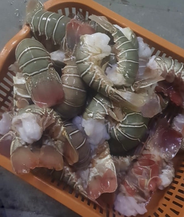 Lobster Tails Frozen