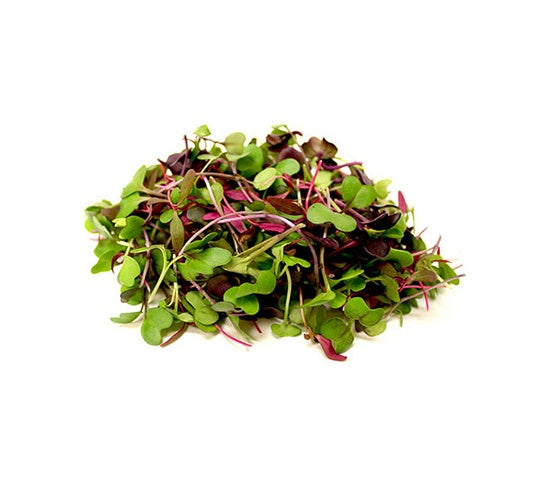 Microgreens Mix 50gm