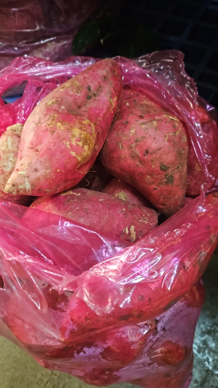 Sweet Orange Potato Imported