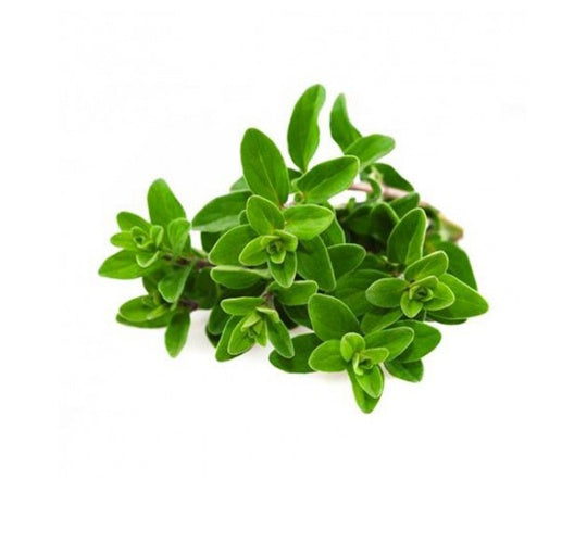 Herbs Oregano 20gm