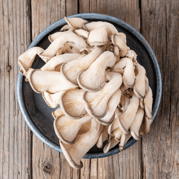 Oyster Mushroom Fresh