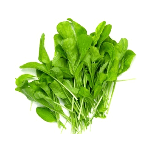 Roqueta / Rúcula / Rúcula 50gm