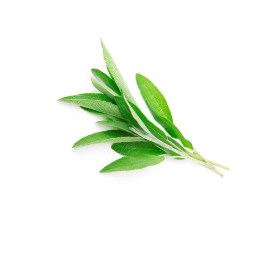 Herbs Sage 20gm