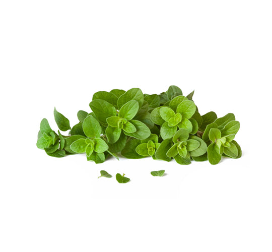 Herbs Sweet Marjoram 20gm