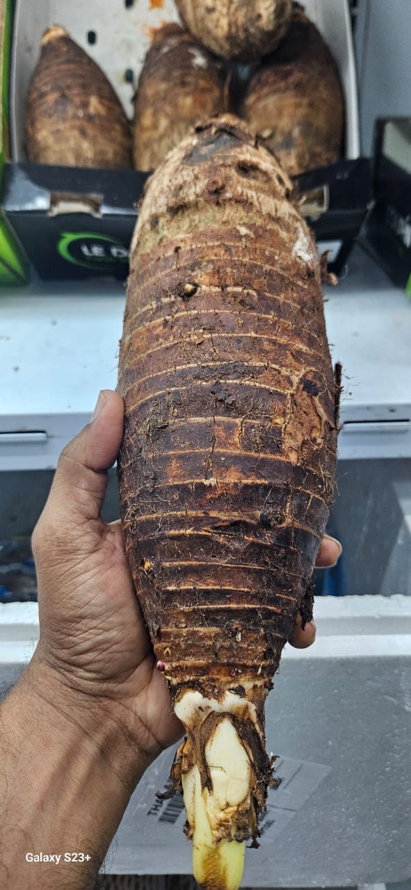 Taro Root Imported Thai