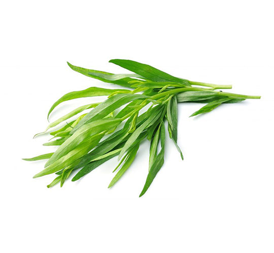 Herbs Tarragon 20gm