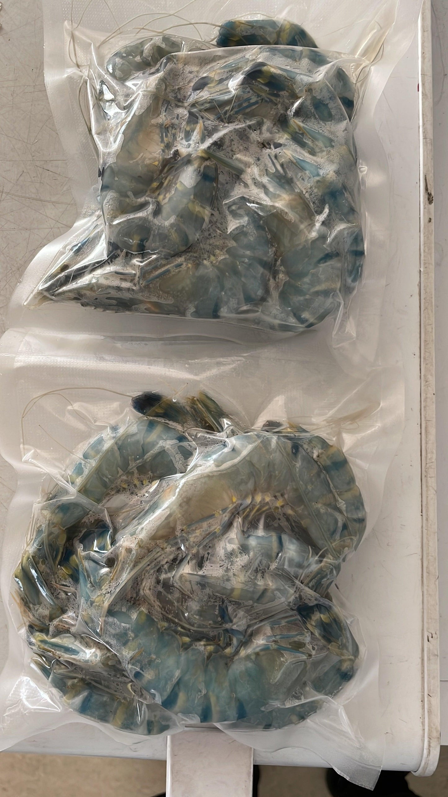 Prawns Blue Sea 25 count/kg Fresh Whole - reddotgreendot
