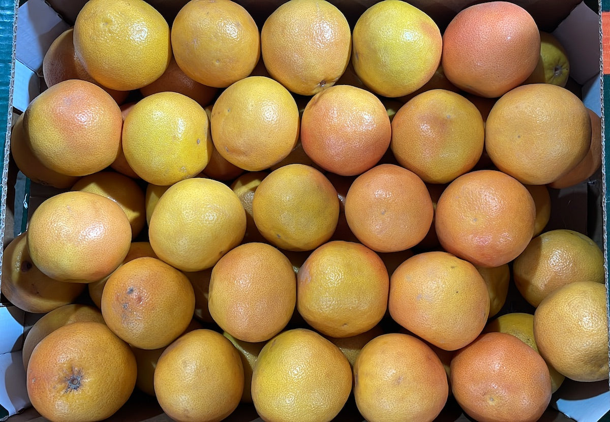 Pink Grapefruit - reddotgreendot