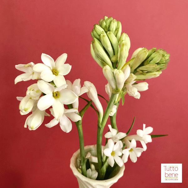 Tuberose - reddotgreendot