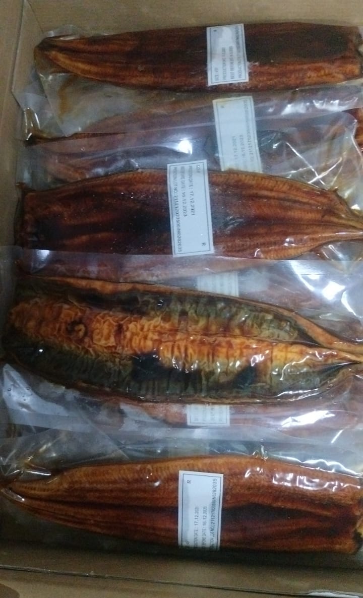 Unagi Freshwater Eel 500g - reddotgreendot