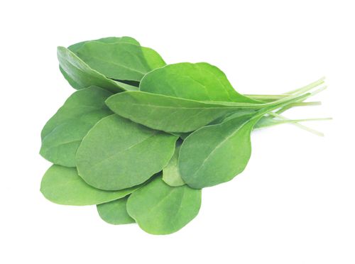 Baby Spinach (Hydroponic) 100g