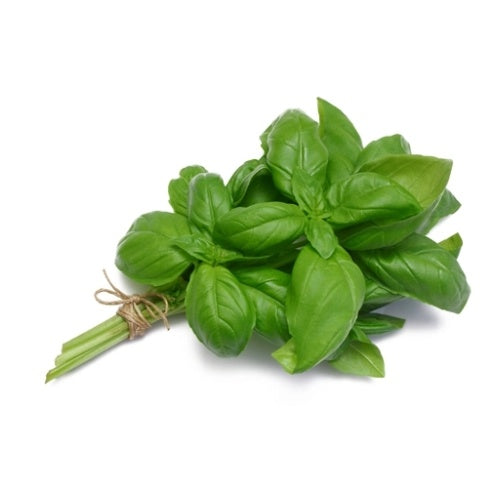 Fresh Basil 100g