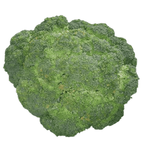 Broccoli 500g