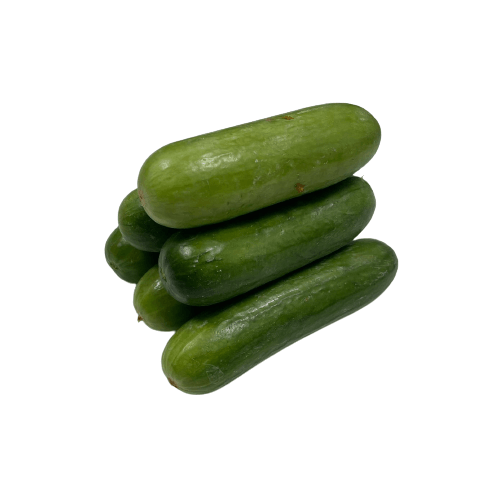 European Seedless Cucumber 500g