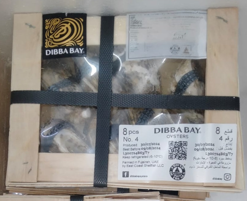 Fresh Live Farmed Oysters No.4 (8pcs in a Box 45-65g each) Dibba Bay UAE