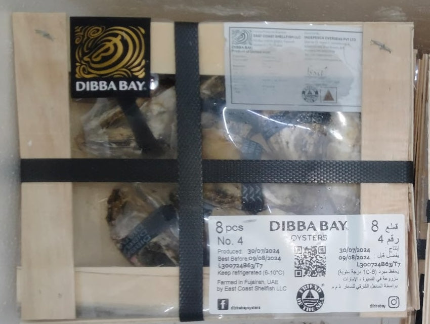 Fresh Live Farmed Oysters No.4 (8pcs in a Box 45-65g each) Dibba Bay UAE