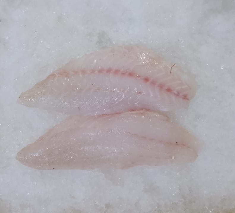 Grouper Fish Fresh - reddotgreendot