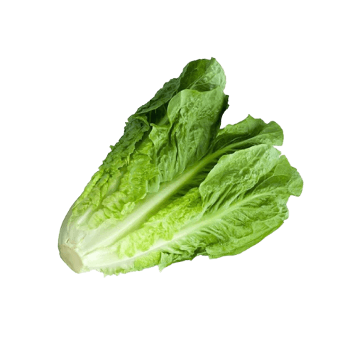 Lettuce Romaine Green 250g