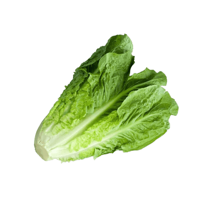 Lettuce Romaine Green 250g