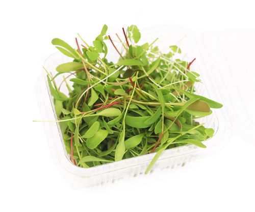 Mix Microgreens (Hydroponic) 50g