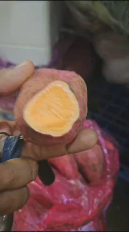 Sweet Potato Orange Imported