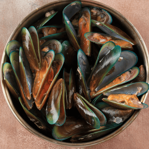 Green Mussels Fresh - reddotgreendot