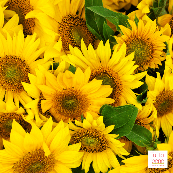 Sunflowers - reddotgreendot